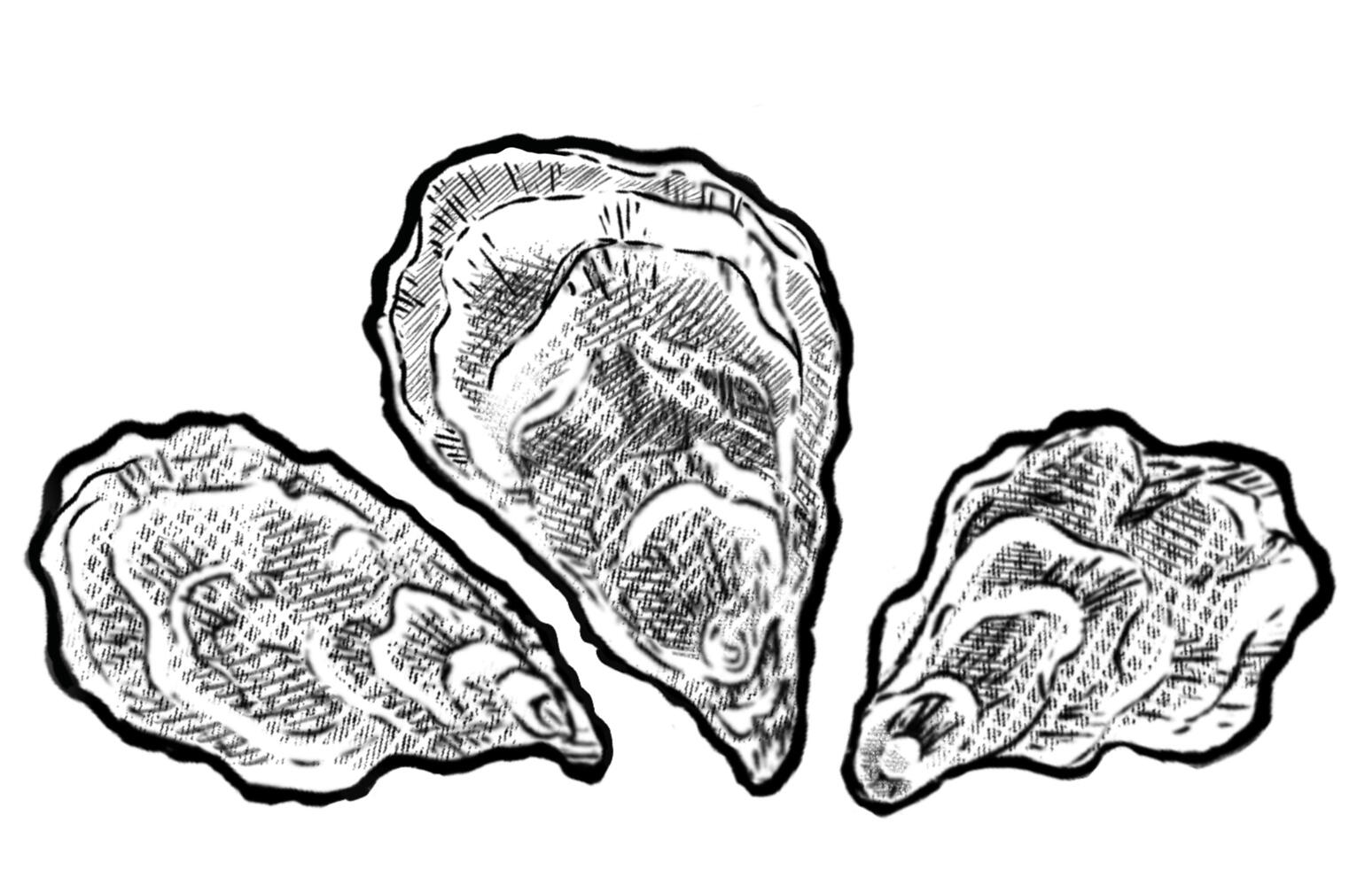 Humboldt Bay Oysters